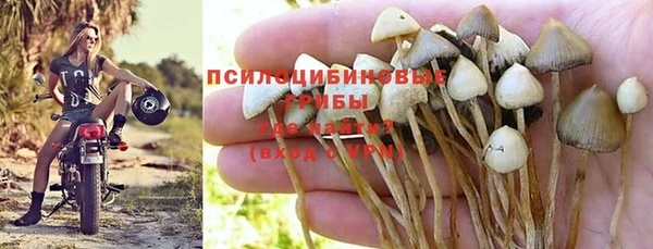 прущая мука Абинск