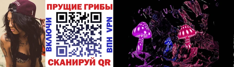 Псилоцибиновые грибы мухоморы Звенигород